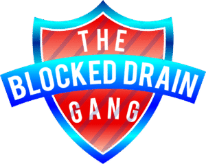 The Blocked Drain Gang logo